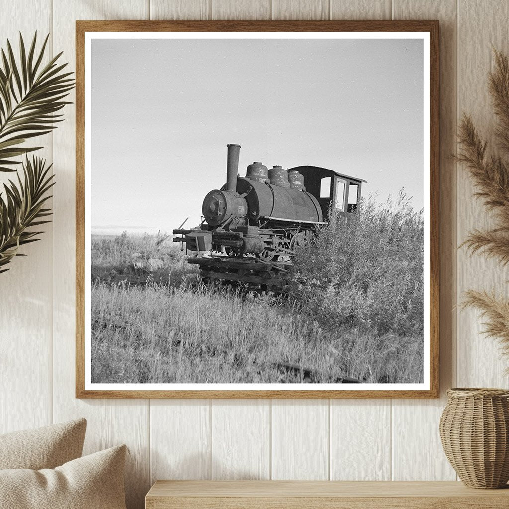 Abandoned Locomotive at Sawmill Tower Minnesota 1937 - Available at KNOWOL