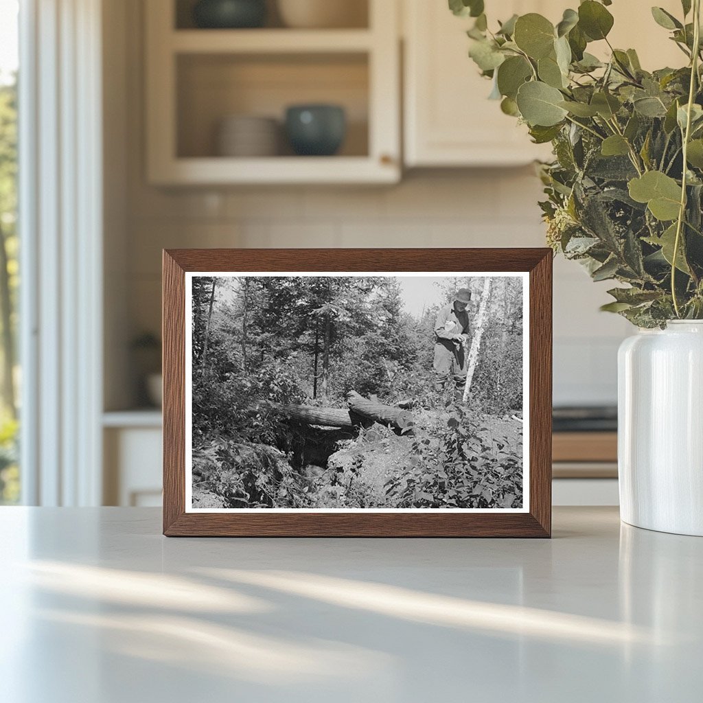 Abandoned Mine Shaft Near Winton Minnesota 1937 - Available at KNOWOL