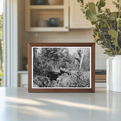 Abandoned Mine Shaft Near Winton Minnesota 1937 - Available at KNOWOL