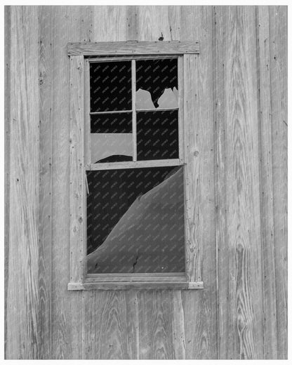 Abandoned Shack of Tenant Farmer in Roscoe Texas June 1937 FSA Collection - Available at KNOWOL