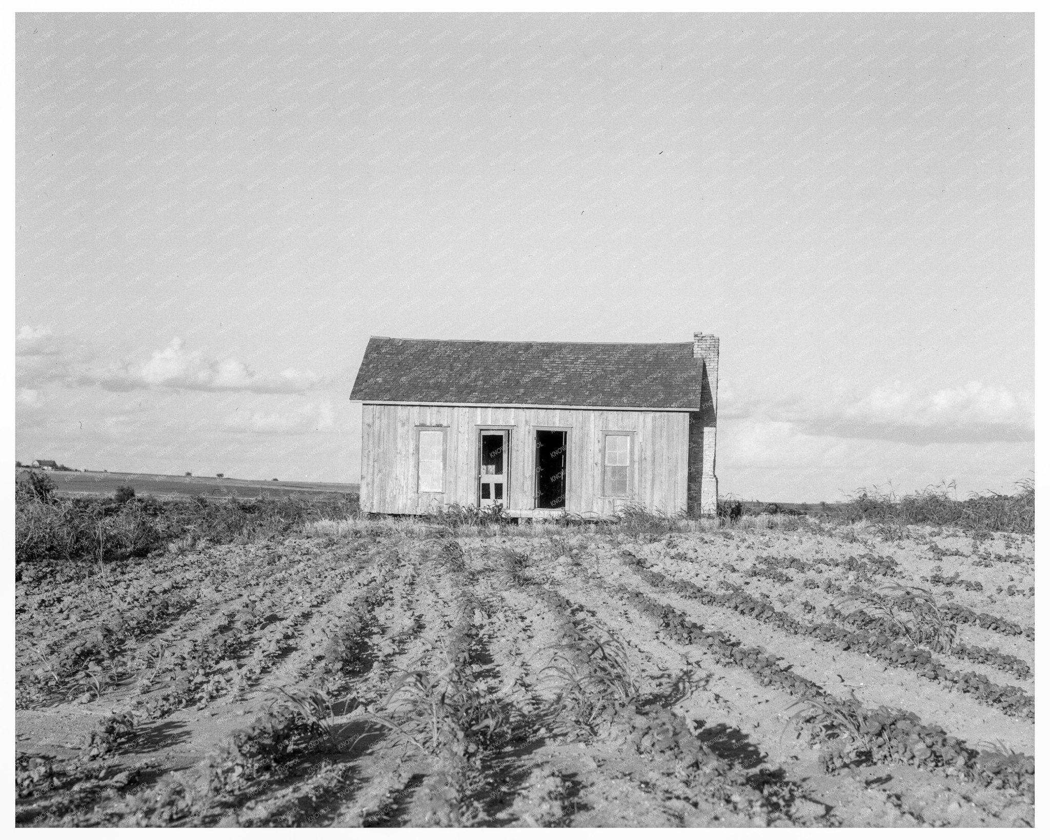 Abandoned Tenant House Childress County Texas 1937 - Available at KNOWOL