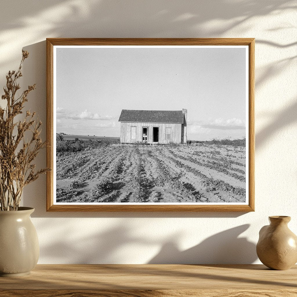 Abandoned Tenant House Childress County Texas 1937 - Available at KNOWOL