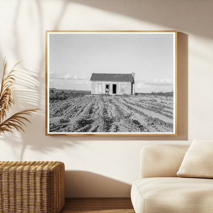 Abandoned Tenant House Childress County Texas 1937 - Available at KNOWOL