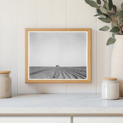 Abandoned Tenant House in Cotton Field Texas 1937 - Available at KNOWOL