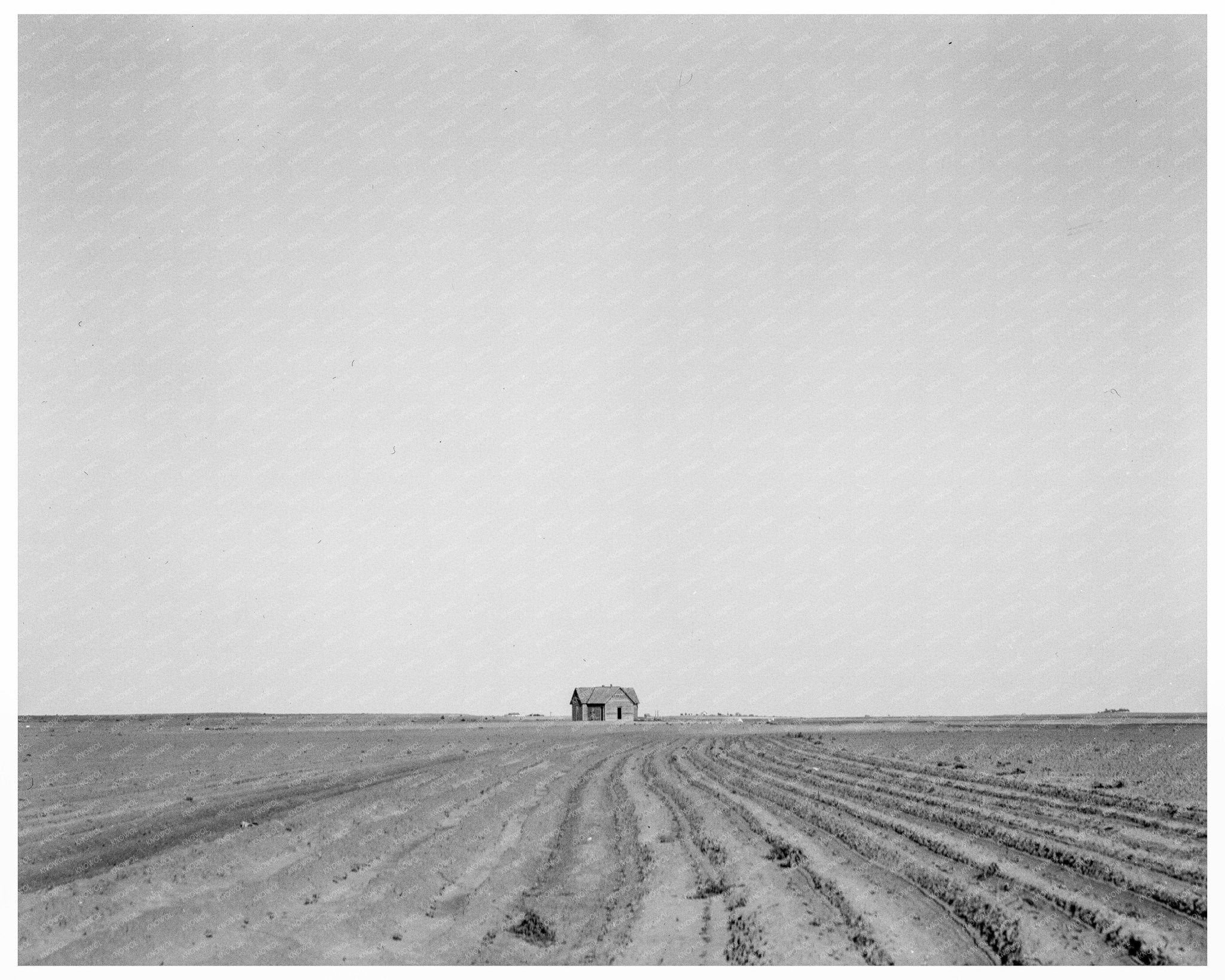 Abandoned Tenant House in Cotton Field Texas 1937 - Available at KNOWOL