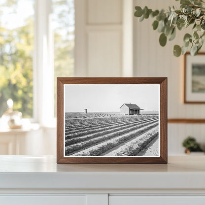 Abandoned Tenant House in Hall County Texas 1938 - Available at KNOWOL