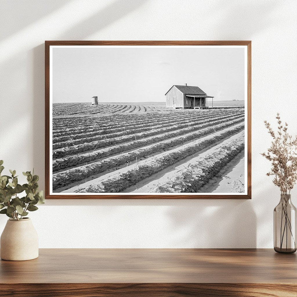 Abandoned Tenant House in Hall County Texas 1938 - Available at KNOWOL