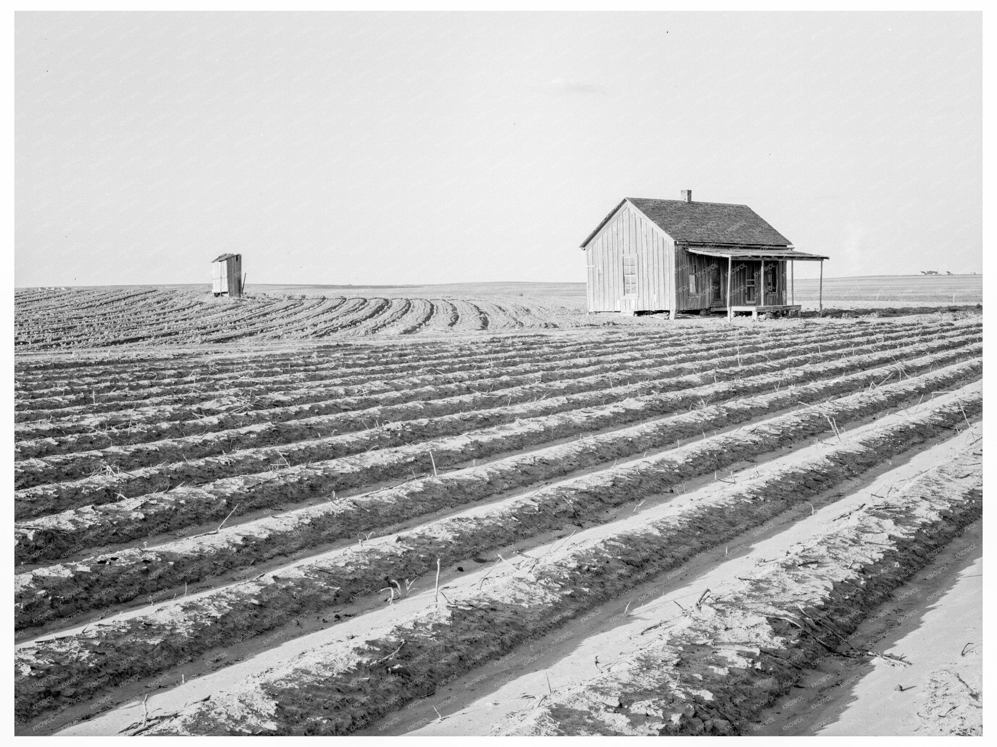 Abandoned Tenant House in Hall County Texas 1938 - Available at KNOWOL