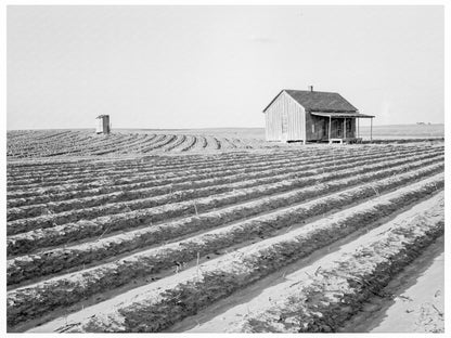 Abandoned Tenant House in Hall County Texas 1938 - Available at KNOWOL