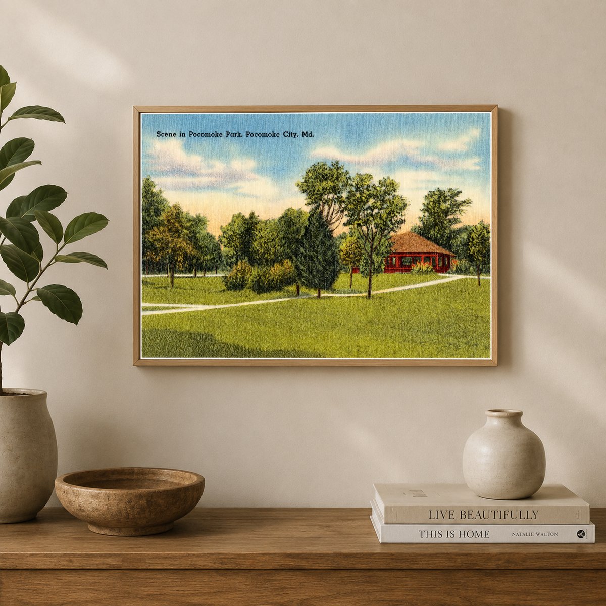 Scene in Pocomoke Park, Pocomoke City, MD — Vintage Maryland Postcard