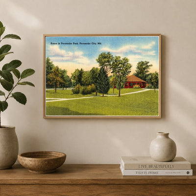 Scene in Pocomoke Park, Pocomoke City, MD — Vintage Maryland Postcard