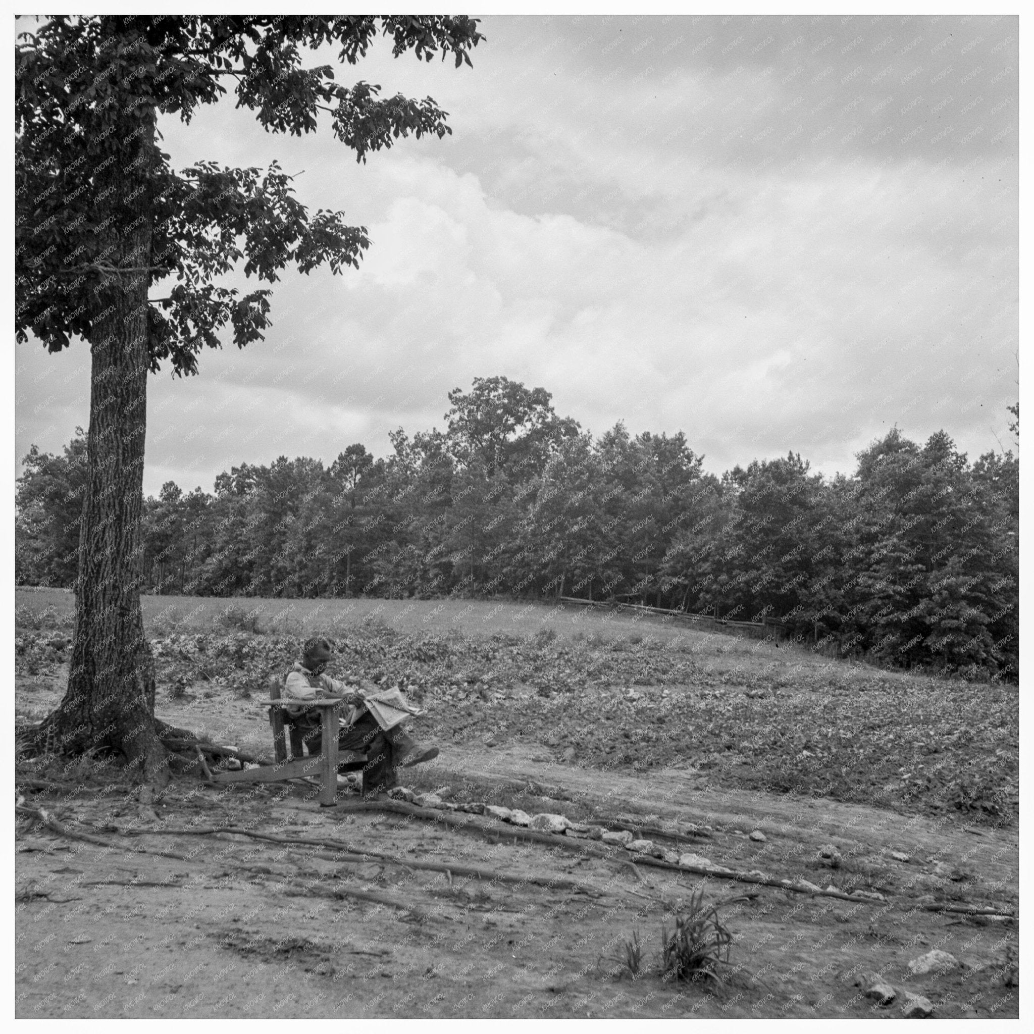 African American Farmer Reading Newspaper July 1939 - Available at KNOWOL