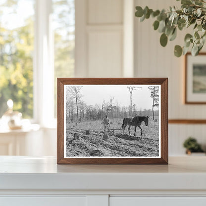 Agricultural Activity in Marshall Texas 1939 - Available at KNOWOL