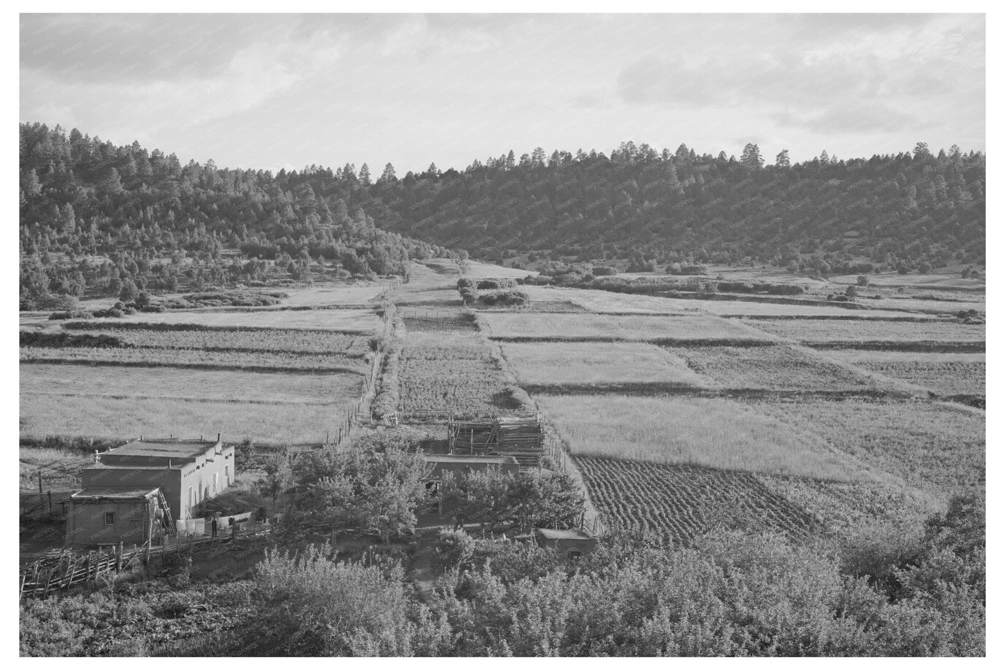 Agricultural Land Division in Taos County New Mexico 1940 - Available at KNOWOL