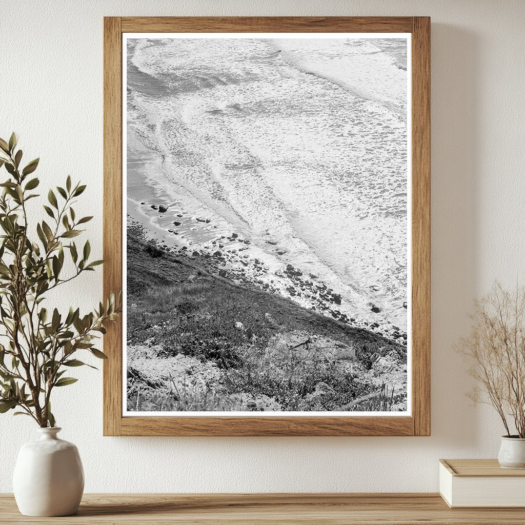 Agricultural Landscape Near Half Moon Bay 1938 - Available at KNOWOL