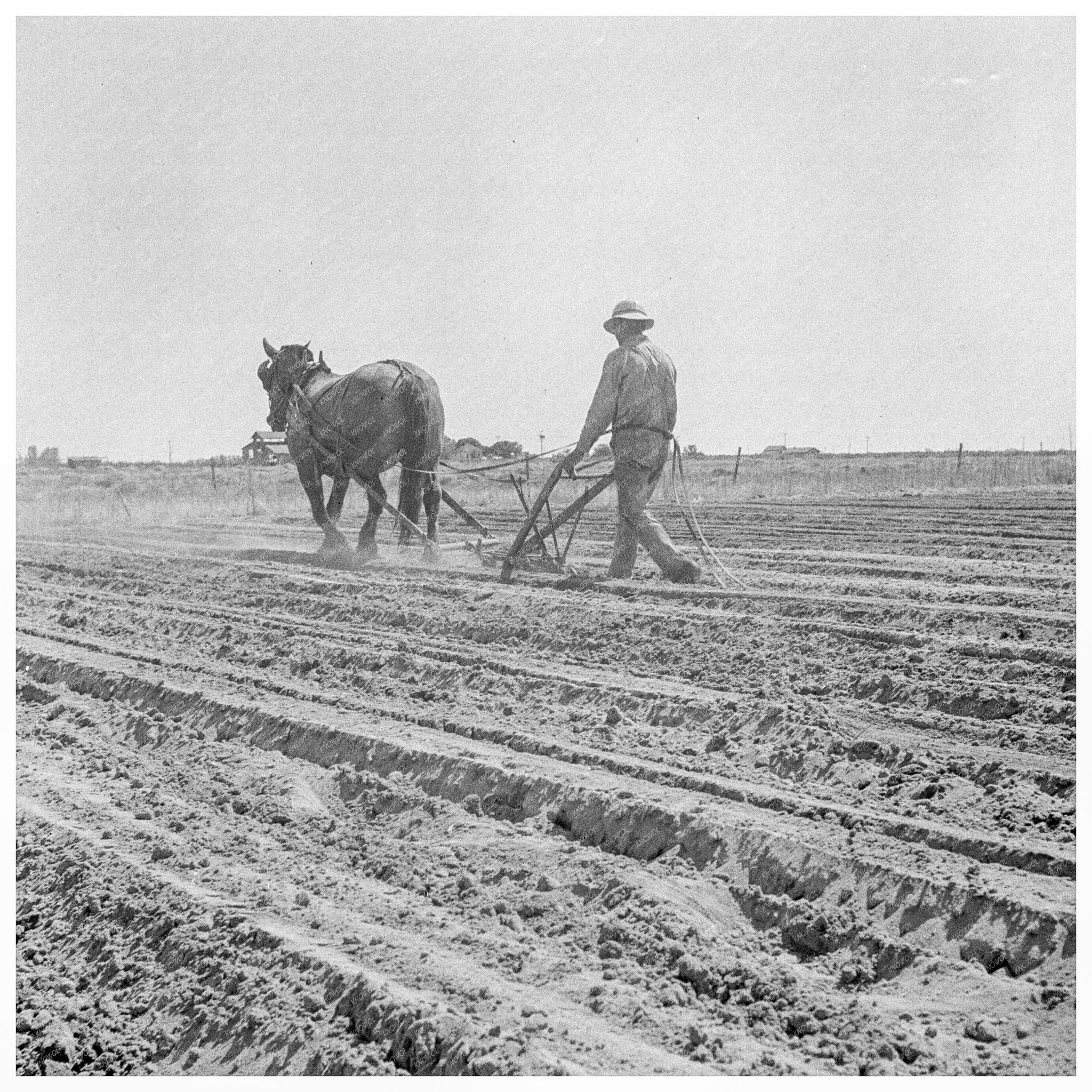 Agricultural Practices in San Joaquin Valley 1935 - Available at KNOWOL