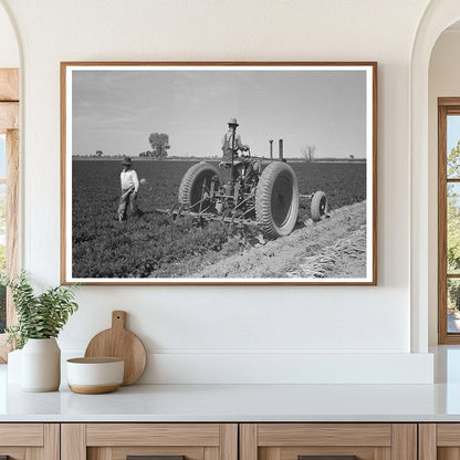 Agricultural Workers Digging Carrots Yuma County 1942 - Available at KNOWOL