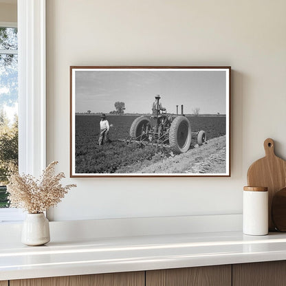 Agricultural Workers Digging Carrots Yuma County 1942 - Available at KNOWOL