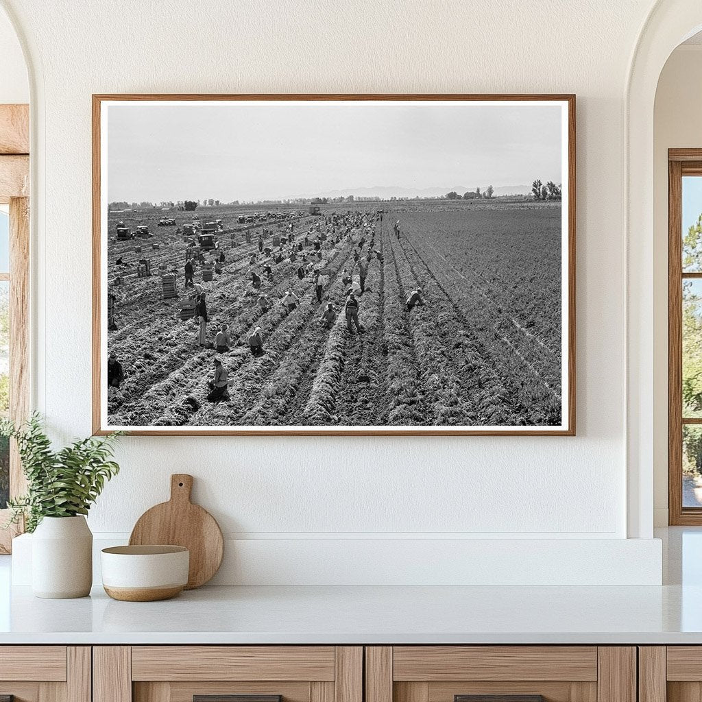 Agricultural Workers in Imperial Valley February 1939 - Available at KNOWOL