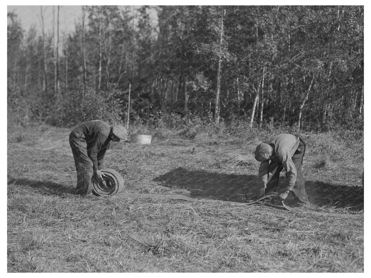 Agricultural Workers Threshing Equipment Minnesota 1937 - Available at KNOWOL