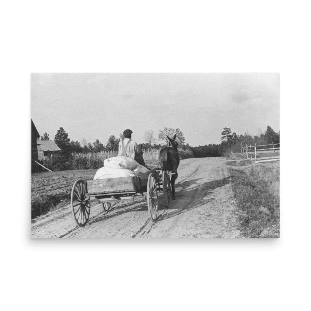 AL - Bringing home meal from co - op grist mill, Gees Bend, Boykin Alabama 1939 - Available at KNOWOL