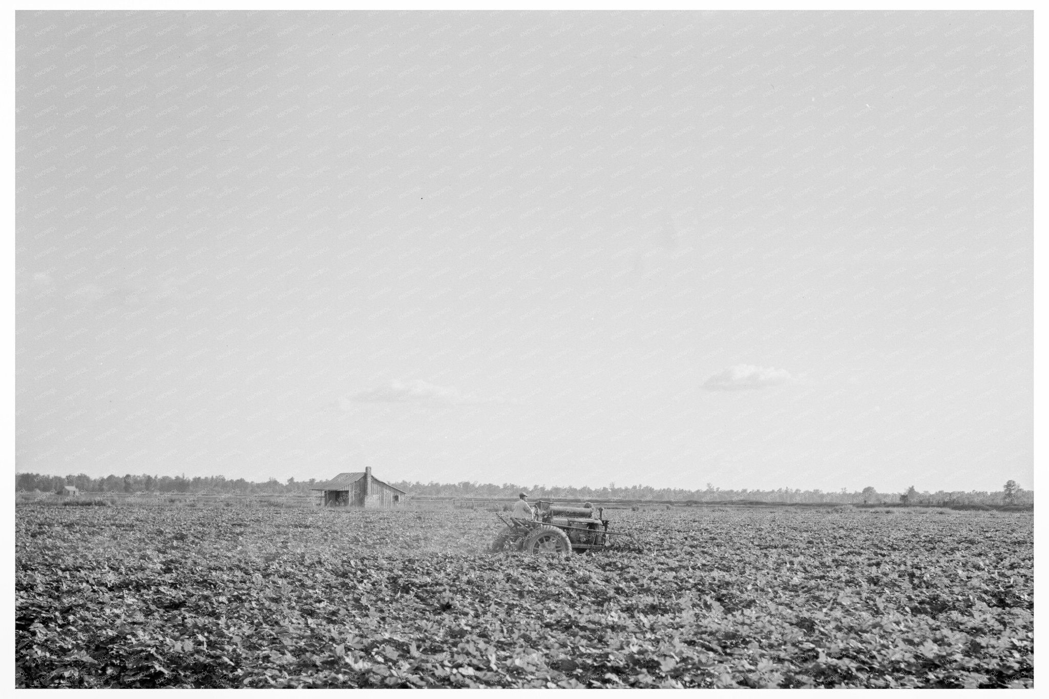 Aldridge Plantation Abandoned Houses June 1937 - Available at KNOWOL