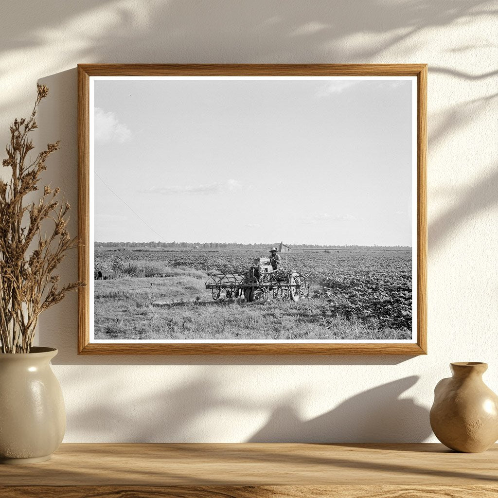 Aldridge Plantation Mississippi 1937 Vintage Photograph - Available at KNOWOL