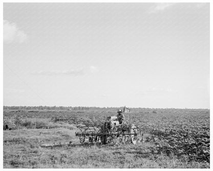 Aldridge Plantation Mississippi 1937 Vintage Photograph - Available at KNOWOL