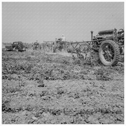 Aldridge Plantation Mississippi June 1937 Historical Image - Available at KNOWOL