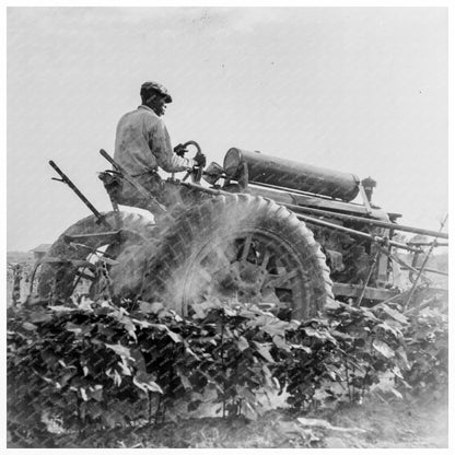 Aldridge Plantation Mississippi June 1937 Vintage Photograph - Available at KNOWOL