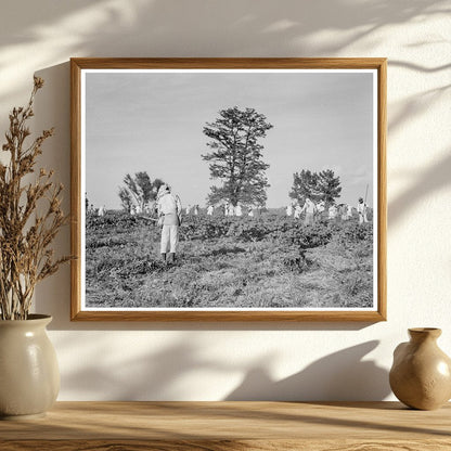 Aldridge Plantation Workers Mississippi June 1937 - Available at KNOWOL