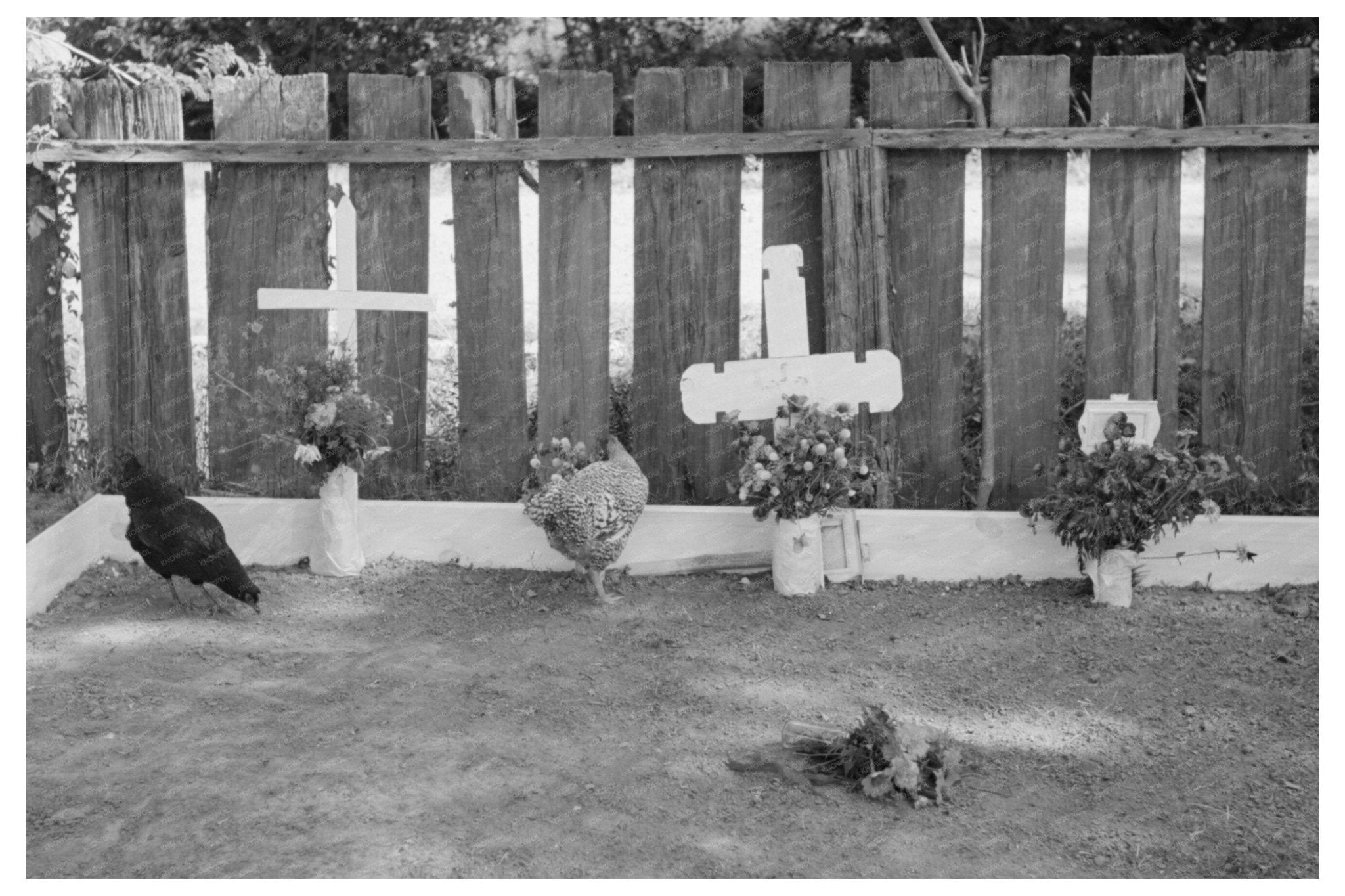 All Saints Day Grave Decorations in New Roads Louisiana 1938 - Available at KNOWOL