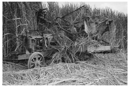 All Saints Day Graves in New Roads Louisiana 1938 - Available at KNOWOL