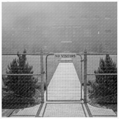 Amalgamated Sugar Company Nyssa Oregon 1939 Vintage Photo - Available at KNOWOL