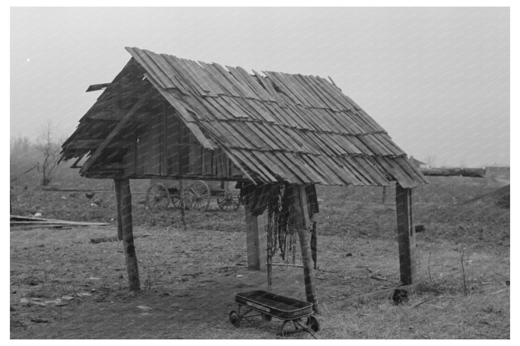 Animal Shelter at Sharecroppers Farm Pace Mississippi 1939 - Available at KNOWOL