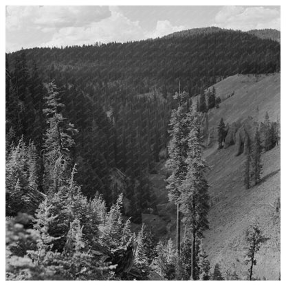 Annie Creek Canyon Crater Lake National Park 1942 - Available at KNOWOL