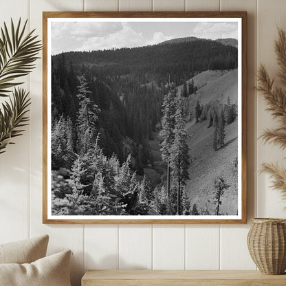 Annie Creek Canyon Crater Lake National Park 1942 - Available at KNOWOL