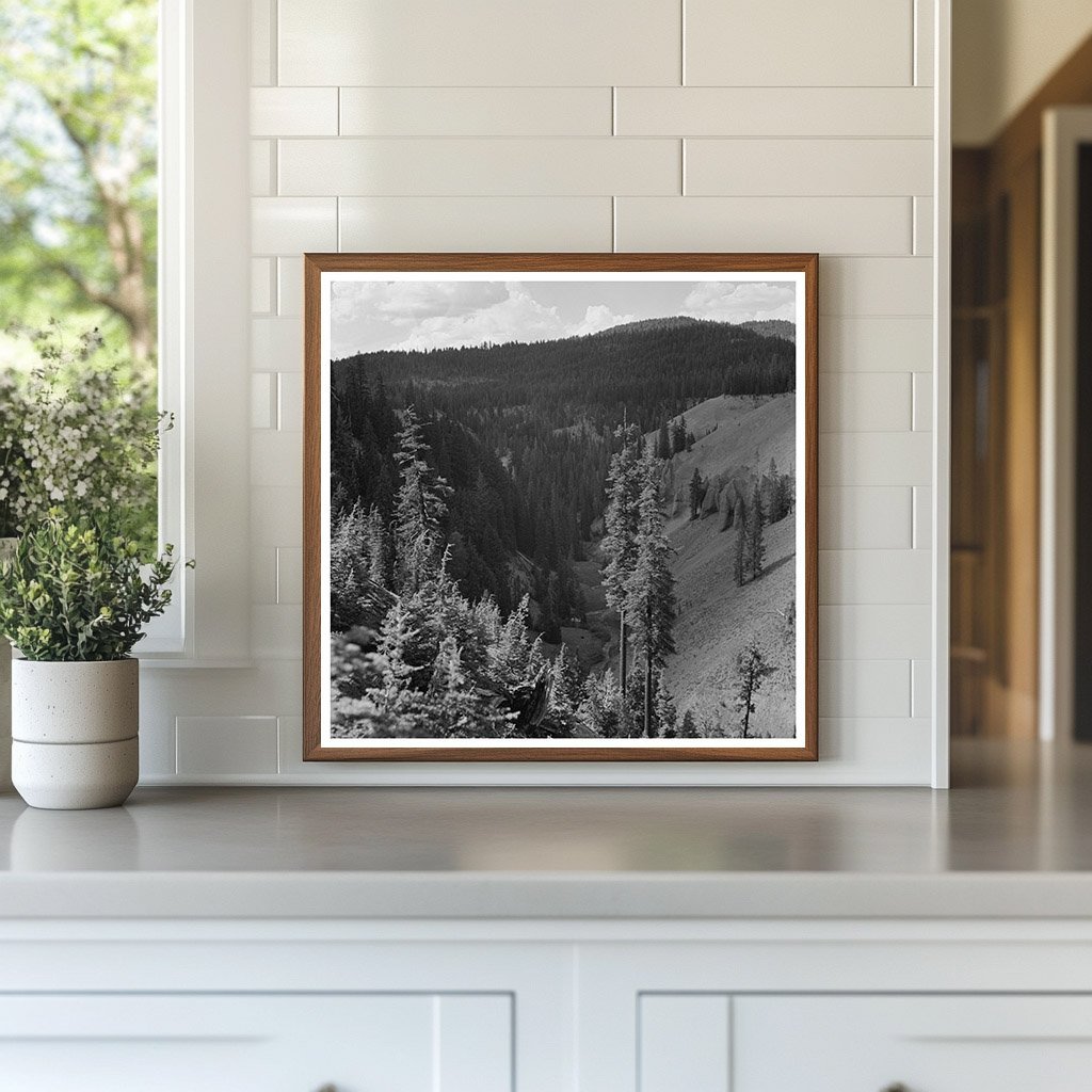 Annie Creek Canyon Crater Lake National Park 1942 - Available at KNOWOL