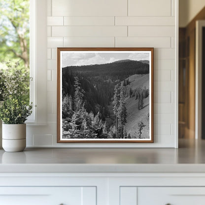 Annie Creek Canyon Crater Lake National Park 1942 - Available at KNOWOL