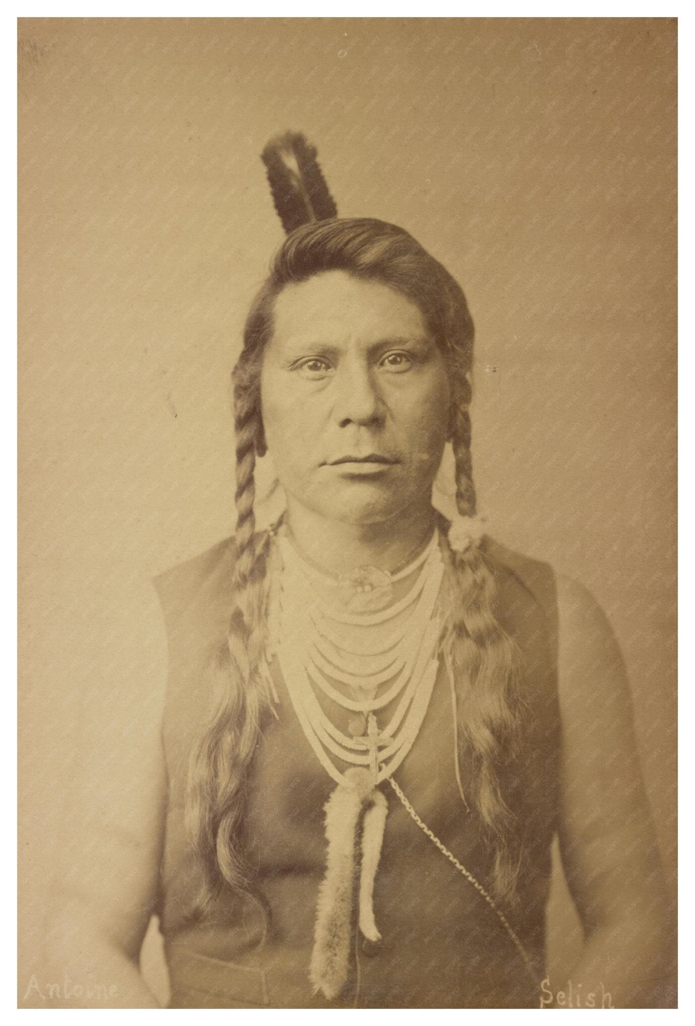 Antoine Selish Vintage Photo 1870 - 1900 Native American Heritage - Available at KNOWOL