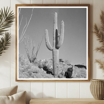 Arizona Desert Landscape with Cacti and Automobile 1940s - Available at KNOWOL