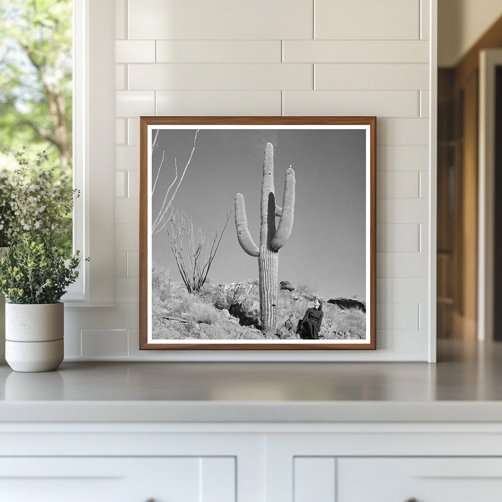 Arizona Desert Landscape with Cacti and Automobile 1940s - Available at KNOWOL