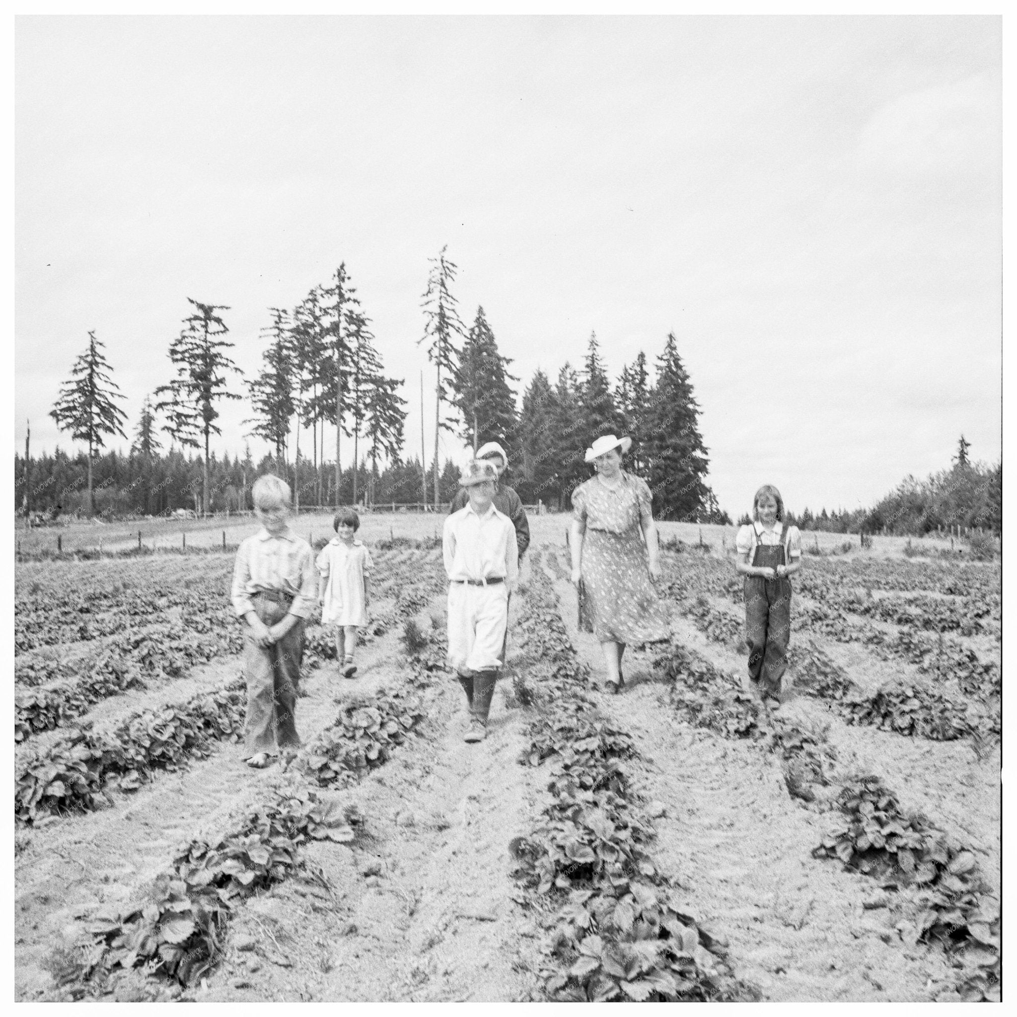 Arnold Family on Farm Land Thurston County 1939 - Available at KNOWOL