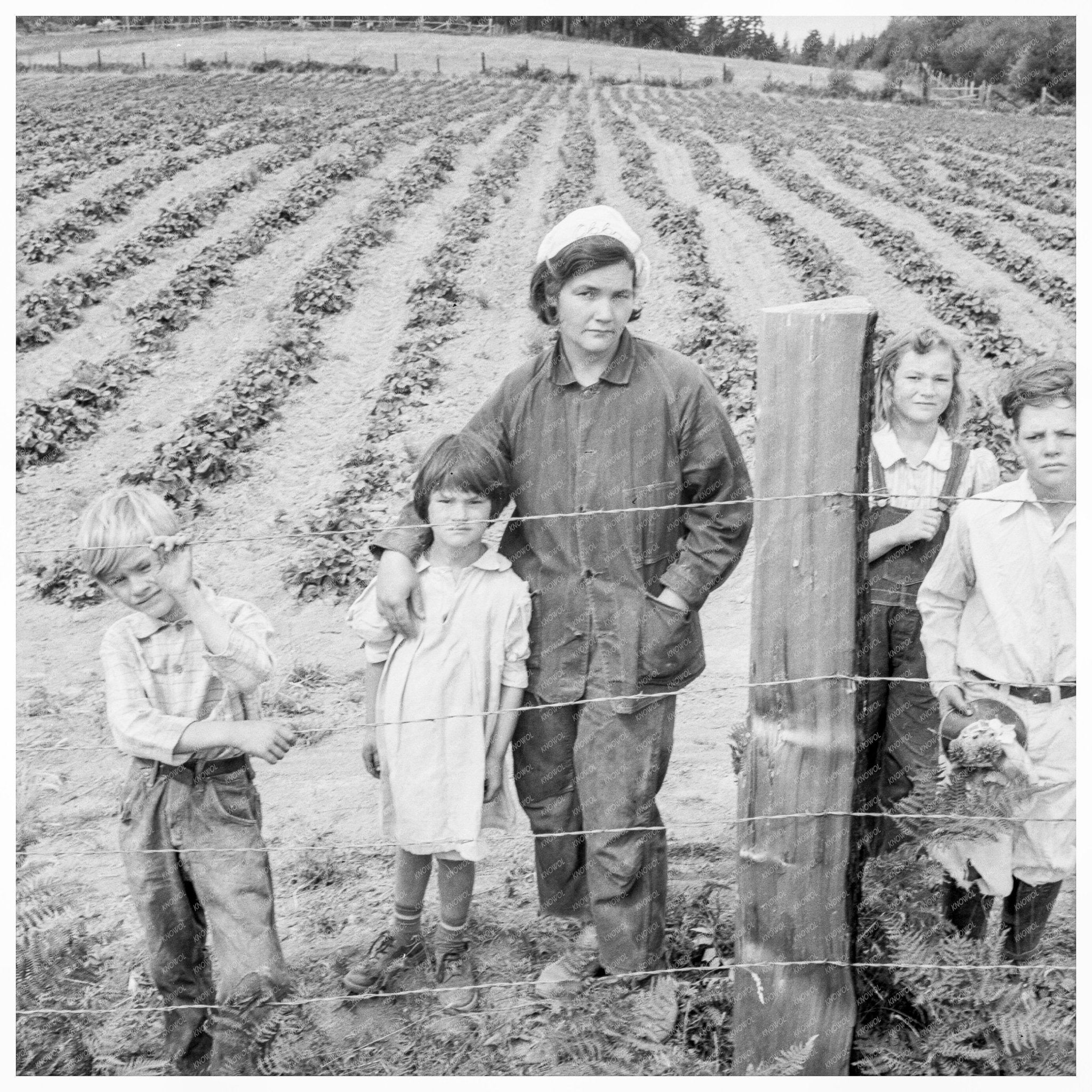 Arnold Family on Fenced Land Thurston County 1939 - Available at KNOWOL