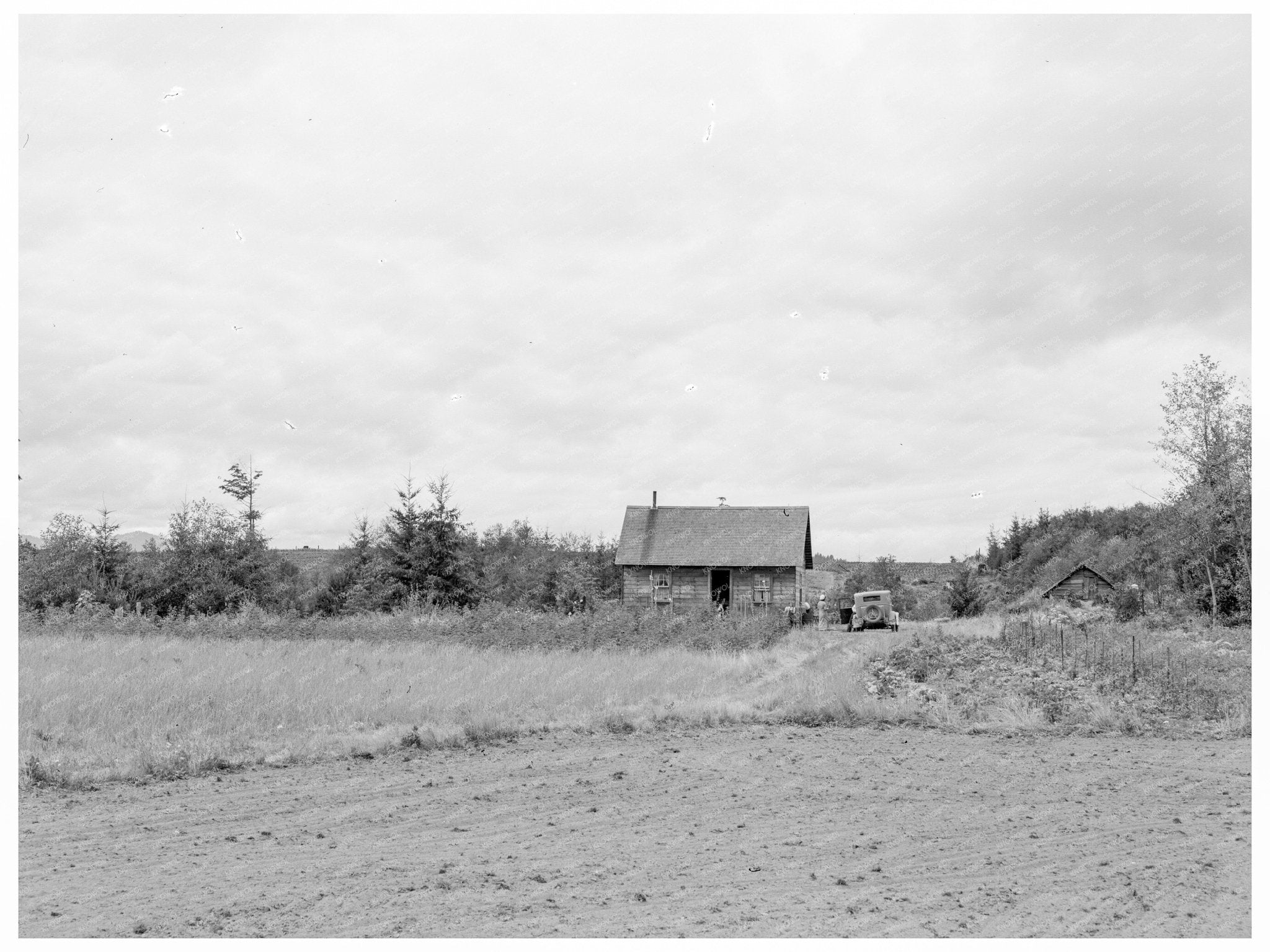 Arnold Farm in Michigan Hill Washington August 1939 Photo - Available at KNOWOL