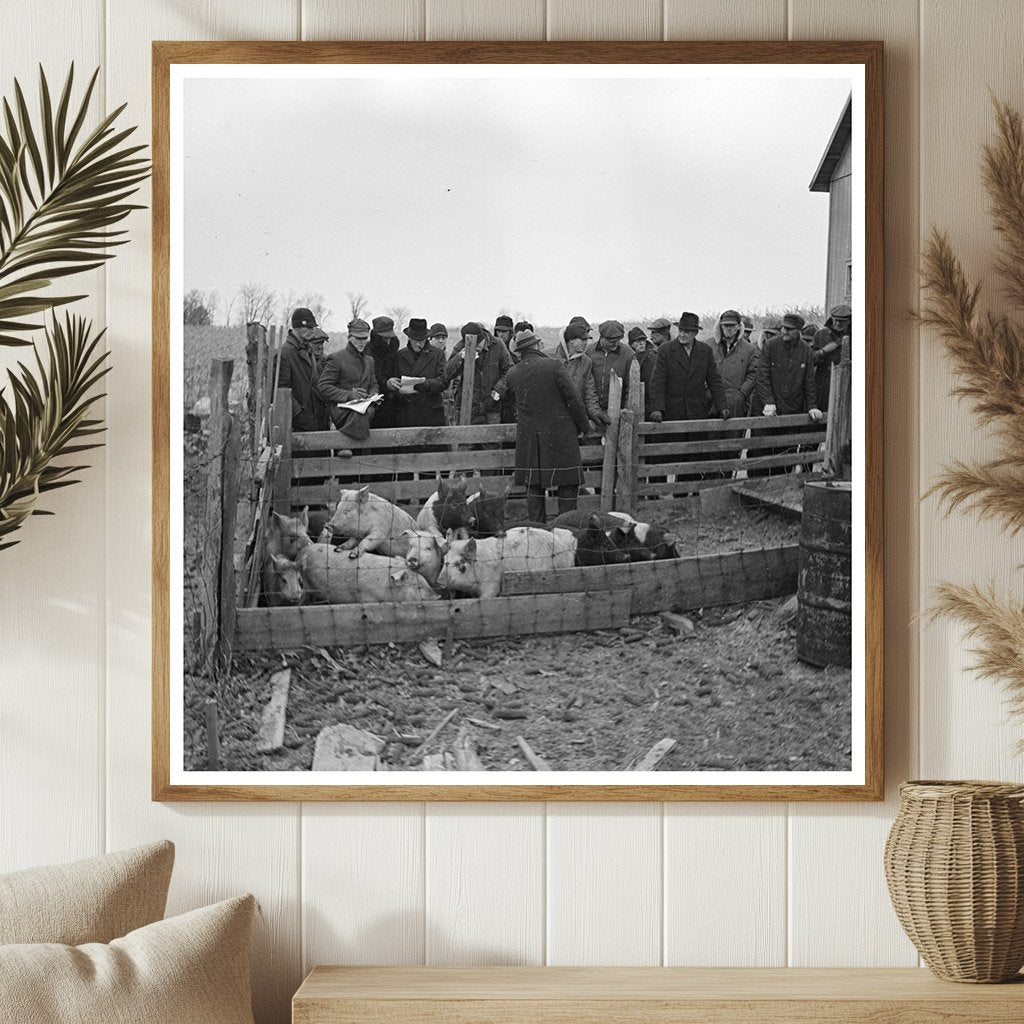 Auctioning Pigs at Frank Sheroan Sale February 1937 - Available at KNOWOL