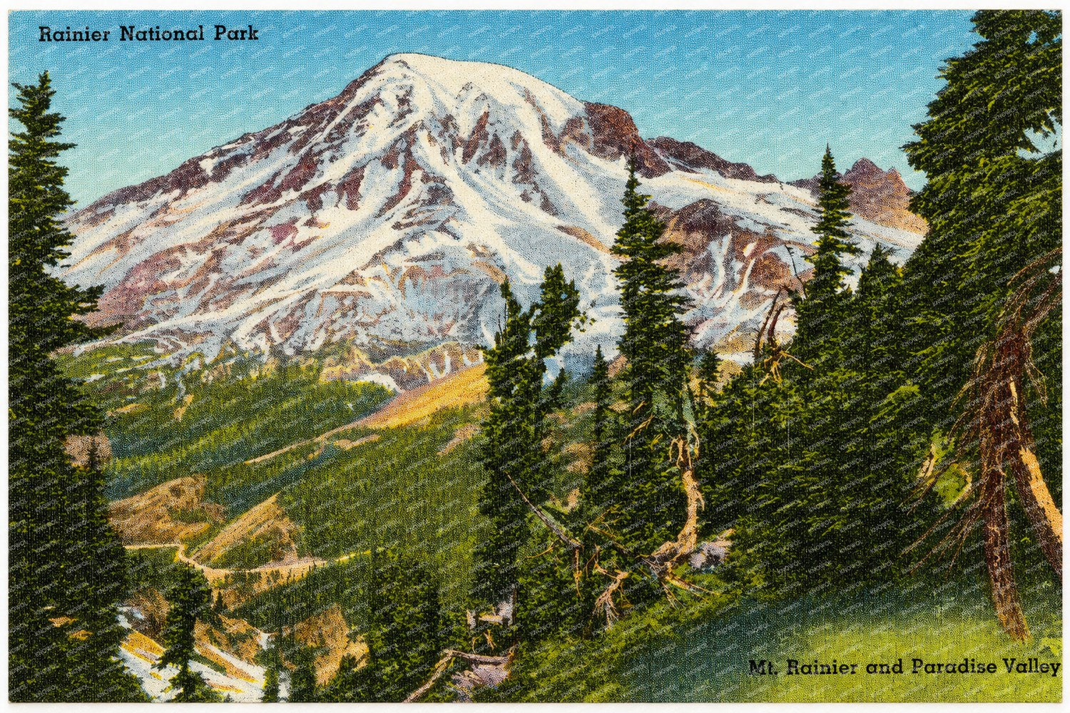 Mount Rainier National Park, WA: Rainier National Park, Mt. Rainier and Paradise Valley