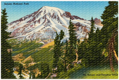 Mount Rainier National Park, WA: Rainier National Park, Mt. Rainier and Paradise Valley