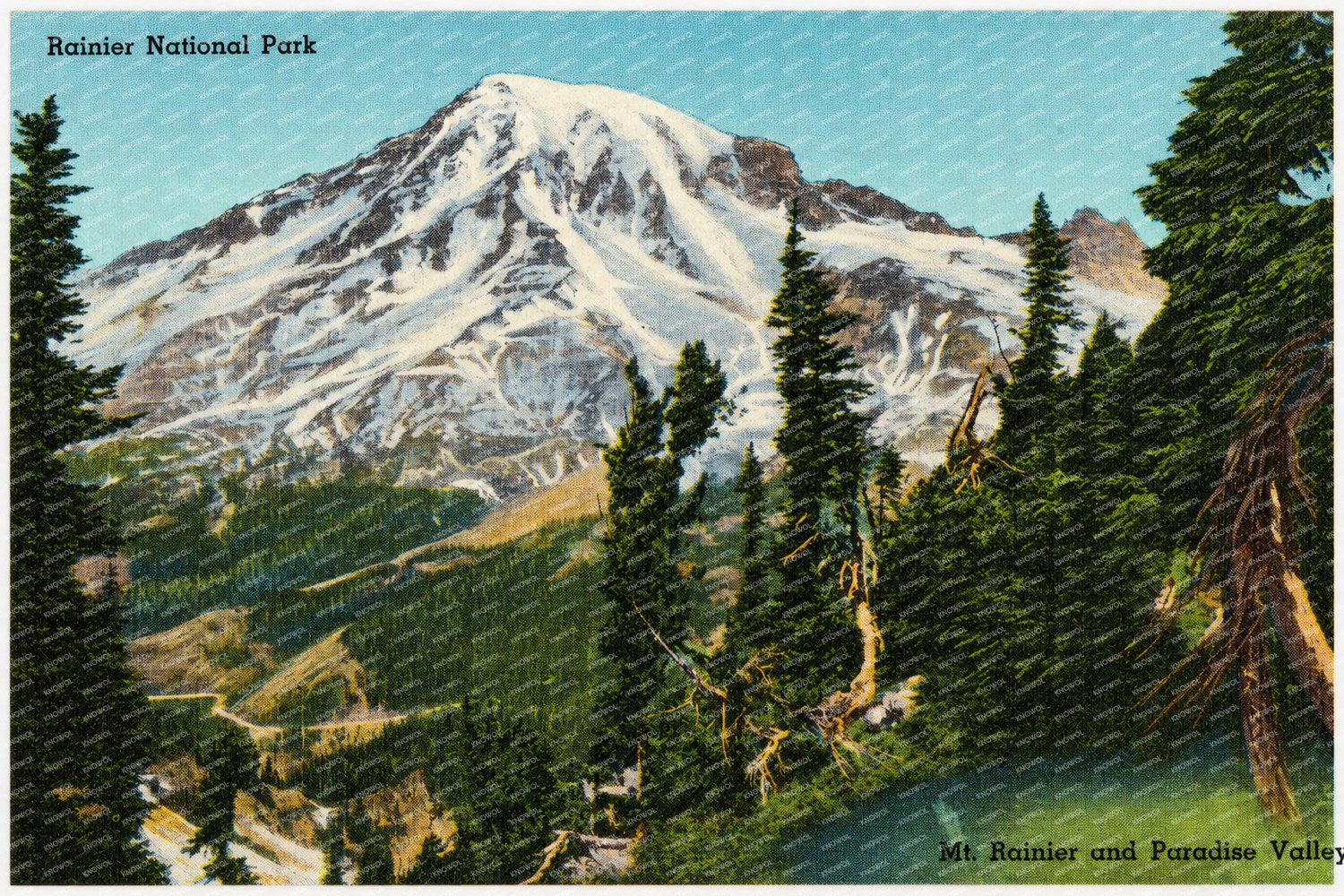 Mount Rainier National Park, WA: Rainier National Park, Mt. Rainier and Paradise Valley
