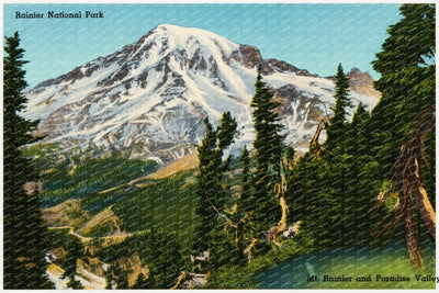 Mount Rainier National Park, WA: Rainier National Park, Mt. Rainier and Paradise Valley